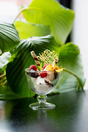 Vialli Design pucharki do lodów deserów galaretki termiczne z podwójnymi ściankami Amo 250 ml