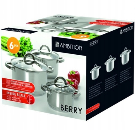 Ambition 6 garnki Berry stalowe nierdzewne tradycyjne na indukcję gaz komplet garnków ze stali nierdzewnej