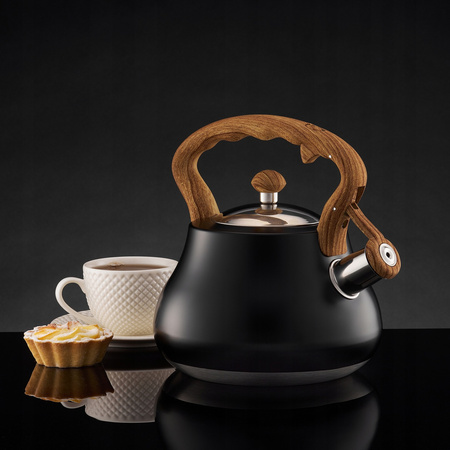 Ambition czajnik Flavio czarny matowy tradycyjny nierdzewny z gwizdkiem zintegrowanym z rączką indukcyjny na indukcję gaz 2 l