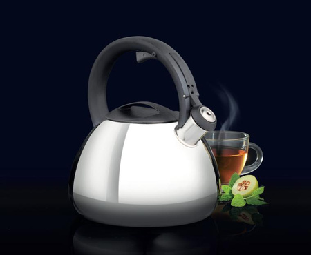 Ambition czajnik Berry tradycyjny stalowy nierdzewny z gwizdkiem zintegrowanym z rączką  indukcyjny na indukcję gaz 2,6 l       L