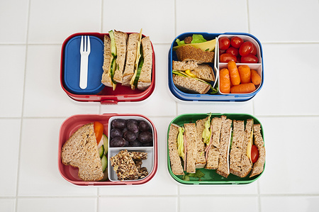 MEPAL śniadaniówka lunchbox dla dziecka do szkoły na wyjazd pojemnik bento na kanapki owoce warzywa Psi Paw Patrol Pups 750 ml bez BPA