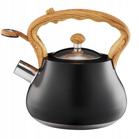 Ambition czajnik Flavio czarny matowy tradycyjny nierdzewny z gwizdkiem zintegrowanym z rączką indukcyjny na indukcję gaz 2 l