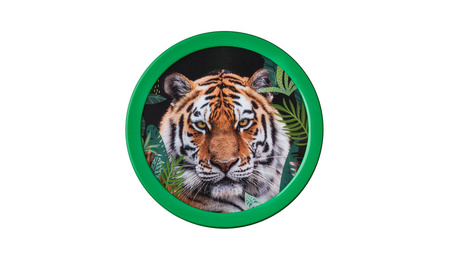 Mepal Campus TYGRYS  Fruit Box dla dzieci pudełko na owoce warzywa przkąski musli śniadaniówka lunchbox  300 ml Wild Tiger bez BPA
