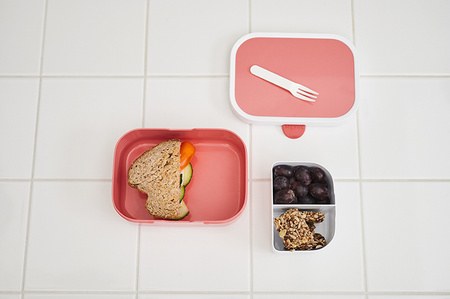 Mepal Campus TYGRYS lunchbox śniadaniówka kanapnik pojemnik na kanapki owoce dla dzieci  Wild Tiger 750 ml bez BPA