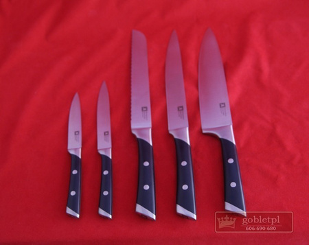 Amefa Richardson Sheffield noże kuchenne w bloku drewnianym zestaw 5 sztuk R-VISION ze stali nierdzewnej kute 