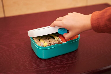 MEPAL lunchbox śniadaniówka dla dziecka pojemnik bento na kanapki warzywa owoce Cars Auta 750 ml