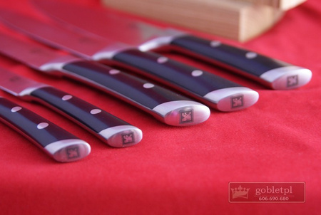 Amefa Richardson Sheffield noże kuchenne w bloku drewnianym zestaw 5 sztuk R-VISION ze stali nierdzewnej kute 